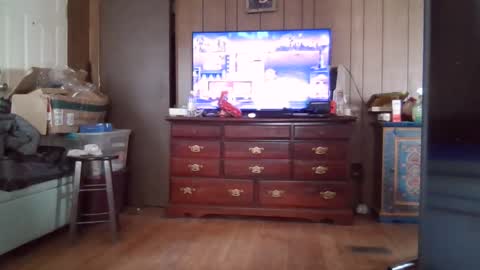 Connie online show from January 2025 04:11:02 PM