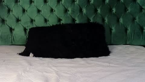 Lumars online show from January 2025 01:37:02 AM