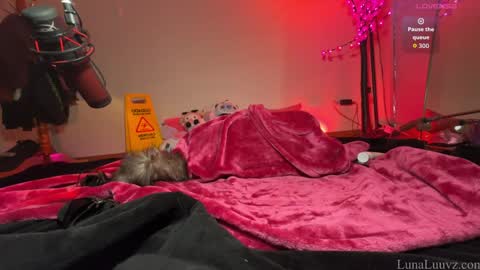 Luna Luuvz online show from February 2026 03:37:02 AM