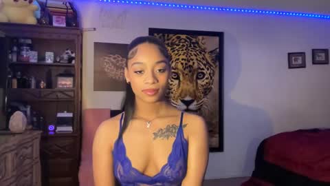 Snapshot of lunaa_11 chatting on December 2024 03:21:02 AM lunaa_11 online show from December 2024 03:21:02 AM