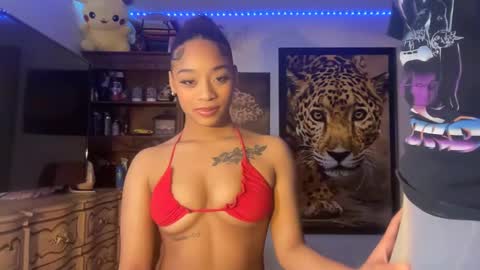 Snapshot of lunaa_11 chatting on February 2025 06:21:01 AM lunaa_11 online show from February 2025 06:21:01 AM