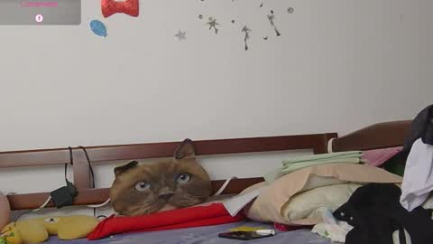 LUNA online show from November 2025 06:41:02 PM