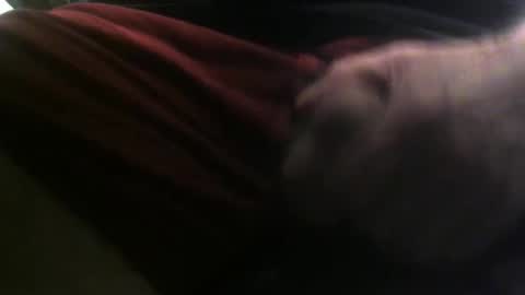 Snapshot of lunatica12 chatting on February 2025 06:17:02 AM lunatica12 online show from February 2025 06:17:02 AM