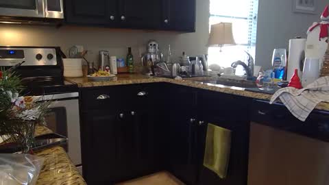 Snapshot of lusterandsp1ce chatting on December 2024 06:06:01 PM lustersp1ce online show from December 2024 06:06:01 PM