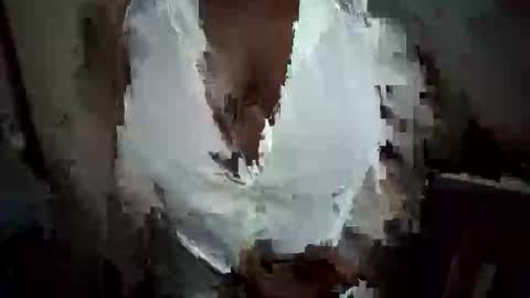 Nessy online show from October 2025 12:22:02 AM