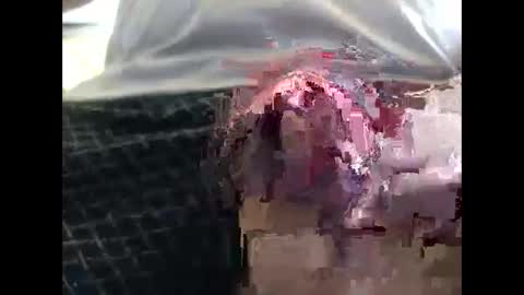 Snapshot of lutorres chatting on September 2025 11:55:02 AM lutorres online show from September 2025 11:55:02 AM