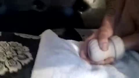 luvbiga554evr online show from November 2025 04:51:02 PM