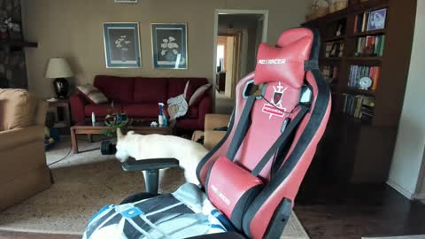 Snapshot of machinecumkelly69 chatting on September 2025 06:09:02 PM machinecumkelly69 online show from September 2025 06:09:02 PM