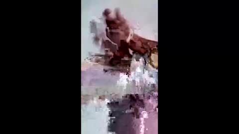 maciasbraulio846 online show from February 2026 06:50:02 AM