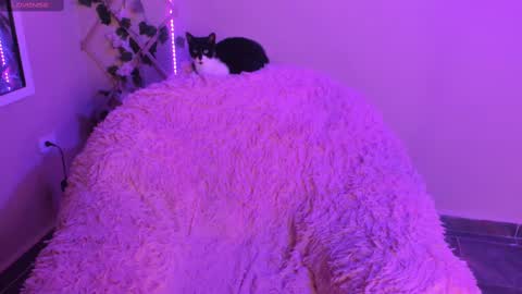 Madeline  online show from September 2025 01:11:01 AM