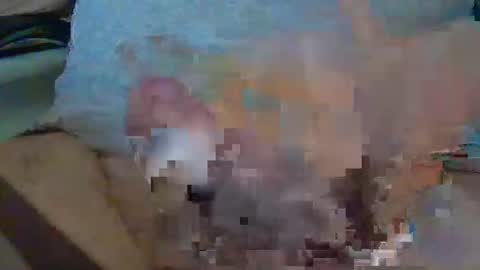 Snapshot of madmax98 chatting on December 2025 01:05:01 PM Max online show from December 2025 01:05:01 PM