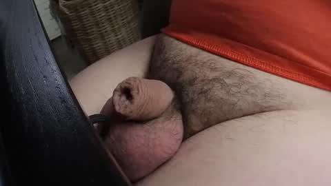 Snapshot of madwolf003 chatting on January 2025 01:43:01 PM HOTnHORNY online show from January 2025 01:43:01 PM