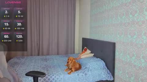 Snapshot of magic_shy chatting on November 2025 01:04:02 AM Merry online show from November 2025 01:04:02 AM