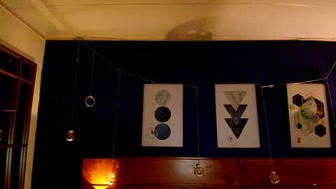 Dani online show from November 2025 11:11:01 AM