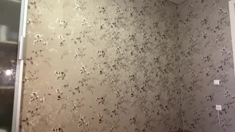 DIna online show from April 2026 02:11:02 PM