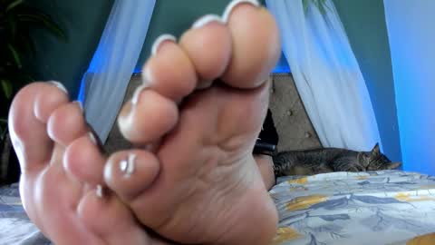 Snapshot of majesty_emma_allen chatting on January 2026 02:04:01 AM Emma Allen online show from January 2026 02:04:01 AM