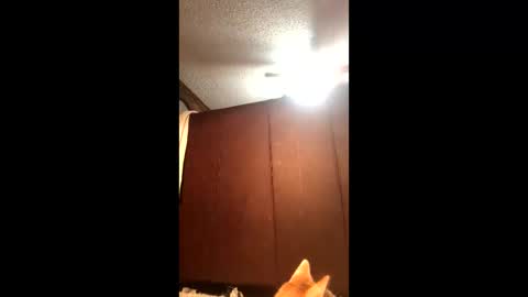 Snapshot of makinziirain chatting on February 2026 12:11:01 AM KarizmaticKitten online show from February 2026 12:11:01 AM