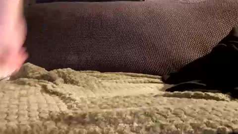 mako998843 online show from January 2026 10:01:01 PM