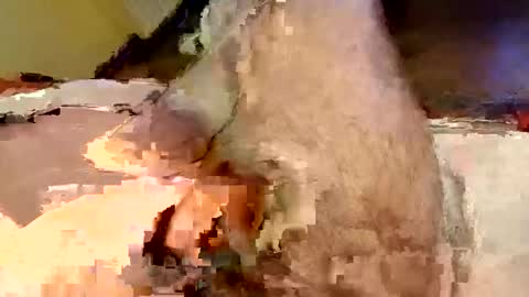 mako998843 online show from February 2026 07:32:01 PM