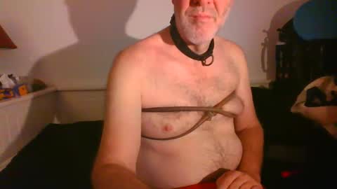 CommandbondageNipples bondage kink submissive lovense slave wgear. modequiethvyBondage If Password goldfish online show from February 2025 08:21:02 AM