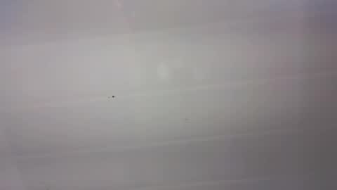 malen_fitnessmilf online show from March 2026 11:02:02 AM