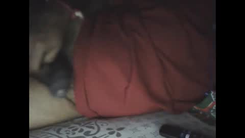 Snapshot of mallik63040 chatting on February 2025 06:04:01 PM Sree0703 online show from February 2025 06:04:01 PM