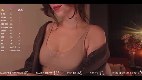 Snapshot of mamiemeow chatting on December 2025 04:51:01 AM Your Miss Alice online show from December 2025 04:51:01 AM