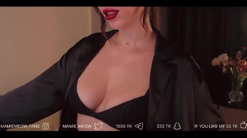 Snapshot of mamiemeow chatting on February 2026 04:24:02 PM Your Miss Alice online show from February 2026 04:24:02 PM