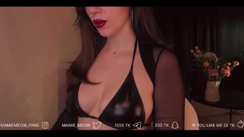 Snapshot of mamiemeow chatting on February 2026 06:08:01 PM Your Miss Alice online show from February 2026 06:08:01 PM