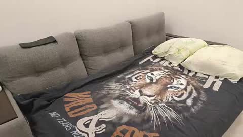 Caroline online show from January 2025 06:49:01 PM