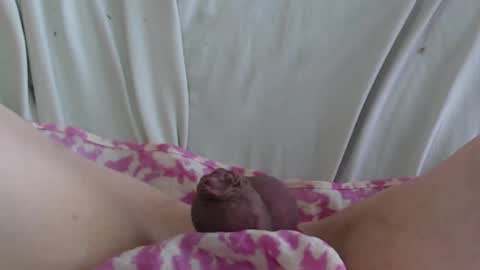 Snapshot of manclitpatsy chatting on February 2025 05:35:01 PM ..          .. online show from February 2025 05:35:01 PM