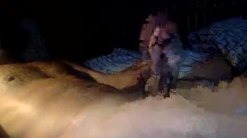 Snapshot of mandalay3 chatting on November 2025 10:13:02 AM mandalay3 online show from November 2025 10:13:02 AM