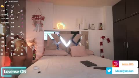 Snapshot of manelyk_10 chatting on December 2024 04:51:01 PM online show from December 2024 04:51:01 PM