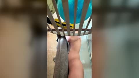 manny764065 online show from February 2026 01:26:01 PM