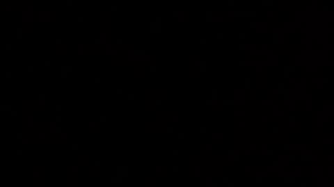 Elle online show from December 2025 02:10:02 AM