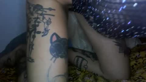 margotshorse online show from February 2026 09:02:01 PM