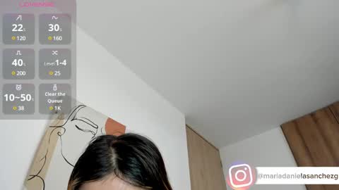 Snapshot of mariadanielasanchez chatting on February 2025 06:13:02 PM mariadanielasanchez online show from February 2025 06:13:02 PM