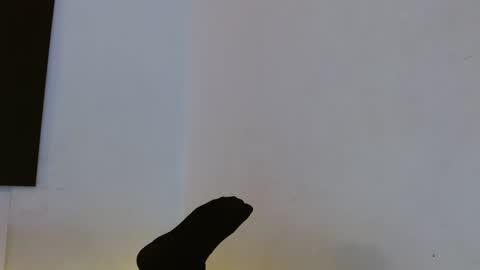 Snapshot of mariamcalad chatting on December 2024 09:17:02 AM Mariam Calad online show from December 2024 09:17:02 AM