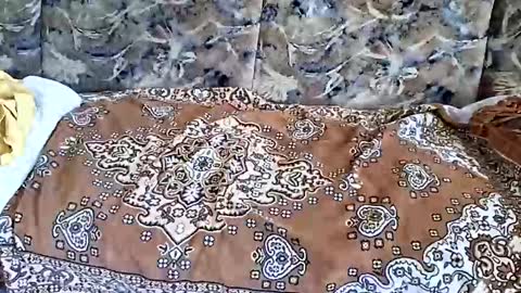 Snapshot of marian20242025 chatting on November 2025 07:10:02 AM marian20242025 online show from November 2025 07:10:02 AM