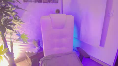 Vane online show from November 2025 08:14:02 AM