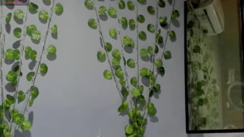 marly online show from February 2025 03:10:02 AM