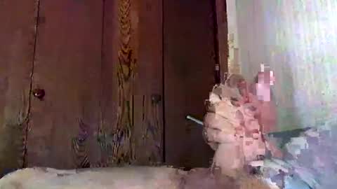 Snapshot of marmiles58 chatting on September 2025 09:38:02 PM marmiles58 online show from September 2025 09:38:02 PM