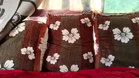 Snapshot of marocreda33 chatting on February 2025 10:20:02 AM marocreda33 online show from February 2025 10:20:02 AM