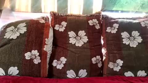 Snapshot of marocreda33 chatting on February 2025 11:05:01 AM marocreda33 online show from February 2025 11:05:01 AM