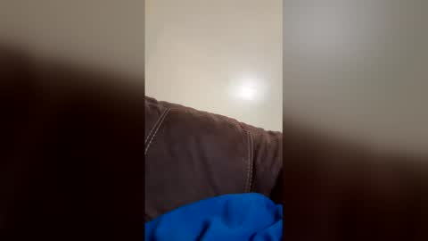 Snapshot of marshmellownerdfellow chatting on February 2026 10:50:02 PM marshmellownerdfellow online show from February 2026 10:50:02 PM