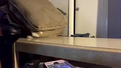 Snapshot of martasub chatting on December 2025 04:11:01 PM martasub online show from December 2025 04:11:01 PM