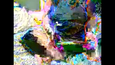 Snapshot of marthabriest chatting on November 2025 07:09:02 AM Martha online show from November 2025 07:09:02 AM