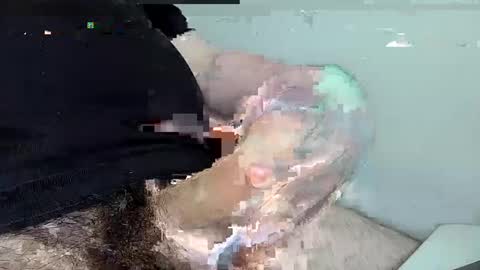 Snapshot of mas12345678910 chatting on December 2024 04:29:02 PM mas12345678910 online show from December 2024 04:29:02 PM