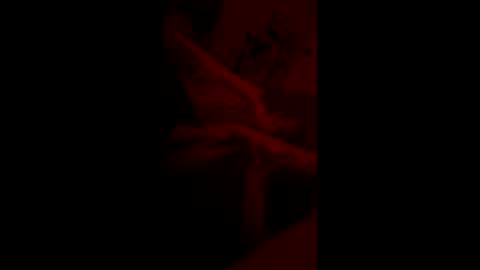 mas62491 online show from November 2025 10:59:01 AM