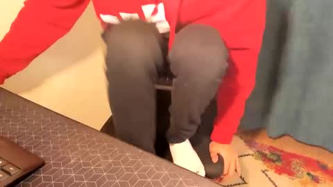 Snapshot of mastermiko chatting on December 2024 08:15:01 PM Silly Rabbit online show from December 2024 08:15:01 PM